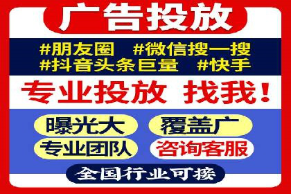 大型SEM服务公司案例分析